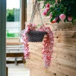 POLLY RATTAN KARISHMA HANGING - Image 4