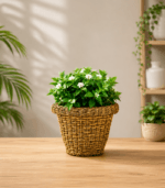 POLLY RATTAN DELUXE POT - Image 2