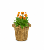 POLLY RATTAN SUPER POT - Image 2